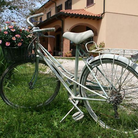 Agriturismo Diciocco Venturina Terme Exterior foto