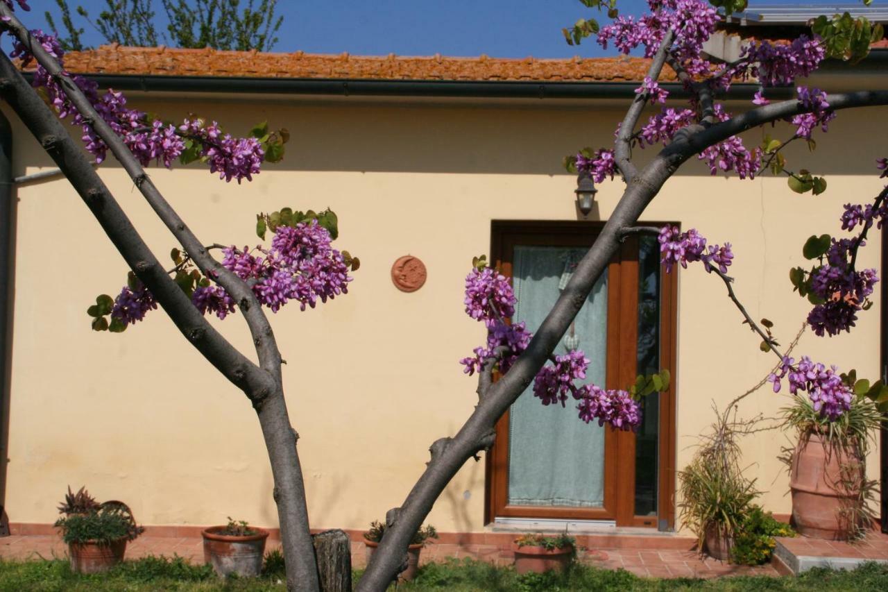 Agriturismo Diciocco Venturina Terme Exterior foto
